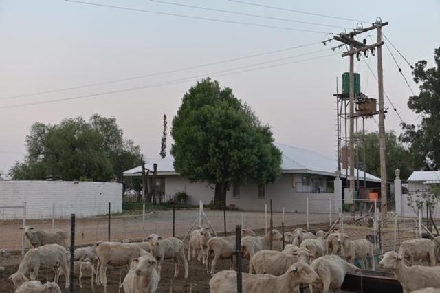 Commercial Property for Sale in Bultfontein Free State